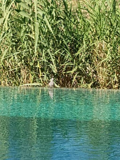 Le Figuier Du Lac Bin Elouidane Екстериор снимка